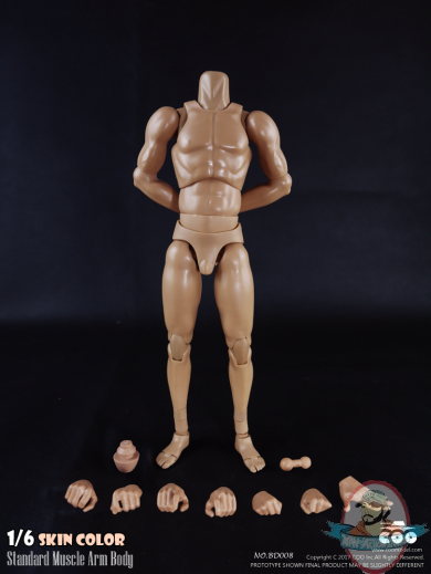 COOMODEL 1/6 Sixth Scale Standard Muscle Arm Body BD008