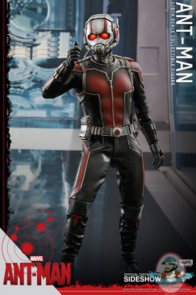 1/6 Scale Ant-Man Movie Masterpiece Series by Hot Toys Used JC