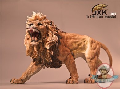[JX-KL001] JxK.Studio 1:6 Brown African Lion
