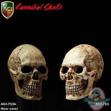 1/6 Scale Cannibal Skull for 12 inch Figure ACI Toys