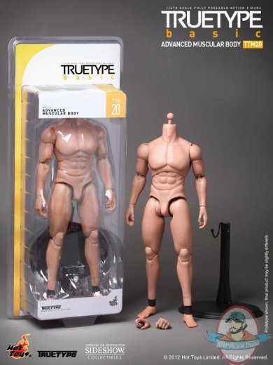 1/6 Scale Truetype Male Body - Advanced Muscular Body by Hot Toys