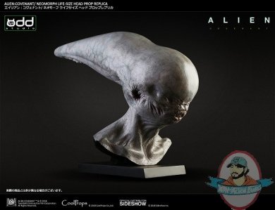 Alien Neomorph Life-Size Head Prop Replica 903719 Cool Props 