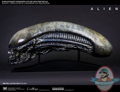 Xenomorph Life-Size Head Prop Replica 903191 Cool Props 