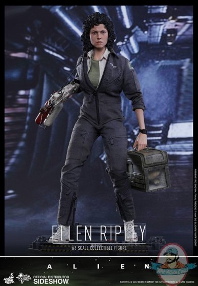 1/6 Scale Alien Movie Masterpiece Ellen Ripley Figure Hot Toys 902230