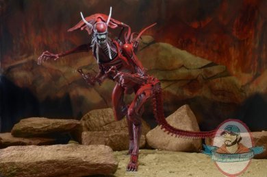 Aliens Ultra Deluxe Genocide Red Queen Figure by Neca