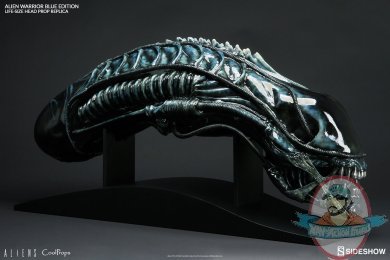 Aliens Warrior Blue Life-Size Head Prop Replica Sideshow 902728