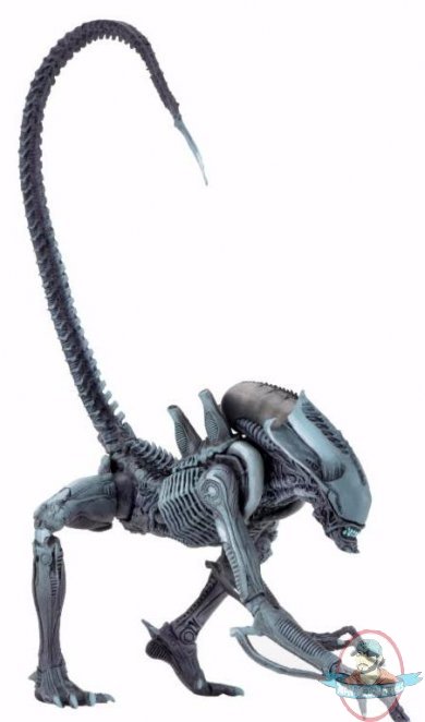 Alien vs Predator Alien Arcade Arachnoid Figure by Neca