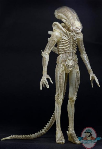 Aliens Series 7 Concept '79 Alien Action Figure by Neca