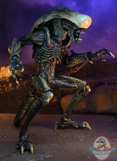 Alien vs Predator Movie Deco Alien 7 inch Chrysalis Alien by Neca