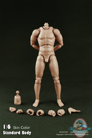 Coo Model 1/6 Standard Male Body with Narrow Shoulders B34001 9.8 Tall