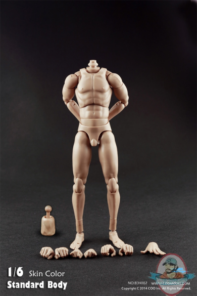 Coo Model 1/6 Standard Male Body with Narrow Shoulders B34002 10.6"