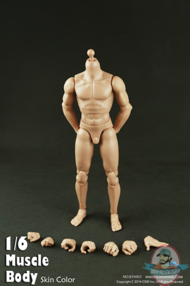 Coo Model 1/6 Scale Muscle Male Body B34003 9.8" Tall Action Figure