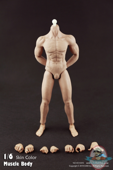 Coo Model 1/6 Scale Rubber Muscular Body CM-B34005 Action Figure
