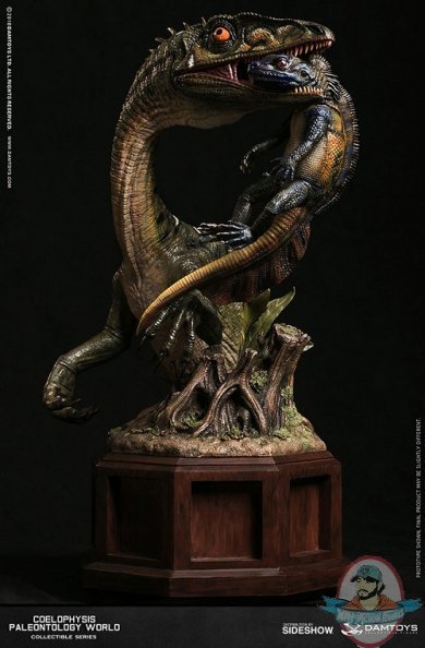 Coelophysis Green Museum Collection Series Dam MUS008A