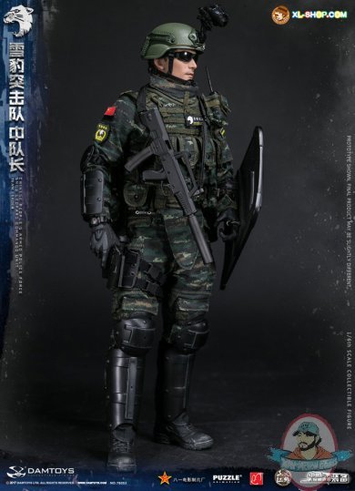 Dam 1:6 Chinese People's Armed Police Force Snow Leopard DAM-78053