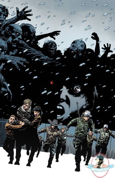 The Walking Dead Omnibus Hard Cover Volume 04 Image Comic