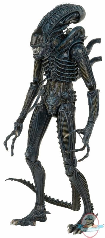 1/4th Scale Aliens 1986 Alien Warrior Figure by Neca