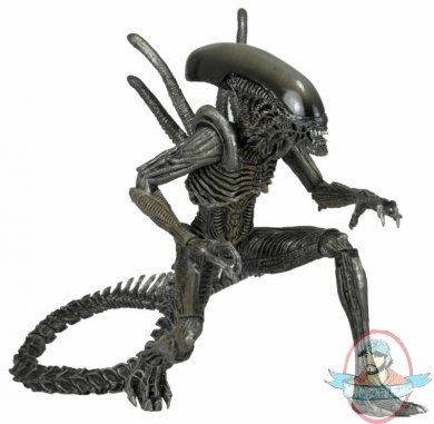 Aliens Series 7 AvP Warrior Alien Action Figure by Neca