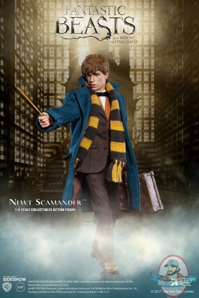 1/6 Fantastic Beasts and Where to Find Them Newt Scamander Star Ace