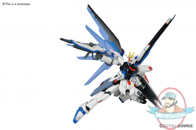 1/144 HGCE Freedom Gundam Figure by Bandai