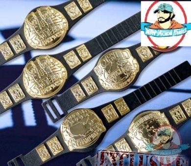 Wrestling Action Figure Championship Belt Special Deal: Set of 5 Belts