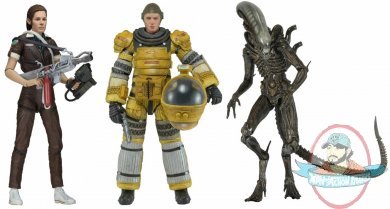 Aliens Series 6 Isolation 7" Figure Case of 14 by Neca
