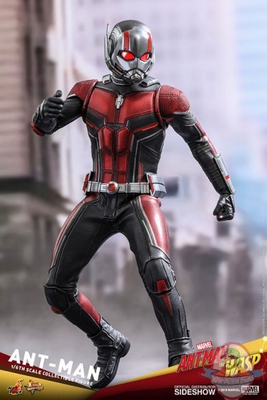 1/6 Scale Ant-Man and the Wasp Ant-Man MMS by Hot Toys 903697