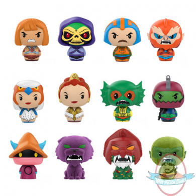 Pint Size Heroes Masters of The Universe Case of 24 By Funko
