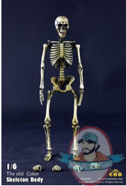 1/6 Skeleton Body Movable BS002 Old Color Coo Model