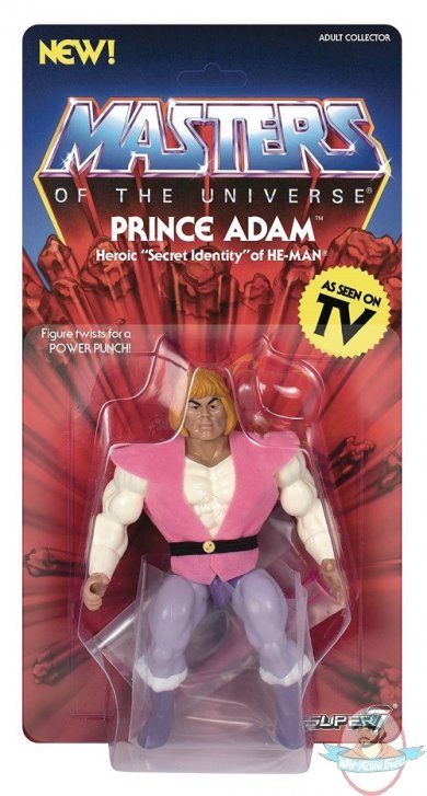 Motu 5.5" Vintage Wave 3 Prince Adam Action Figure Super 7