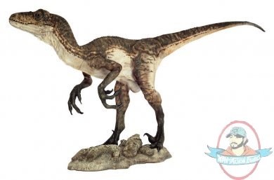 Dinosaurs: DEINONYCHUS 1 (Closed Jaw) Life-size Statue Section 9