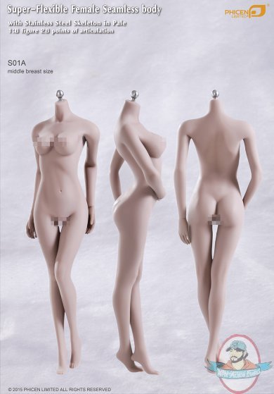 1/6  Female Body w Stainless Steel Skeleton Pale/Middle Breast SO1A