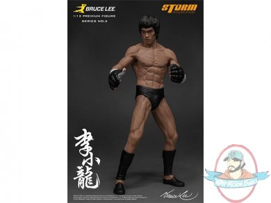 Bruce Lee The Martial Artist 2 1/12 Premium Storm STM87007