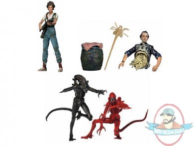 Aliens Series 5 7 inch Set of 4 Figures Neca