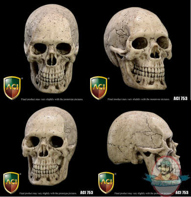 1/6 Scale Cannibal Skull ACI753 Set of 10 for 12 inch Figures ACI Toys