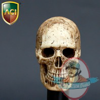 1/6 Scale Cannibal Skull Head Sculpt by ACI 