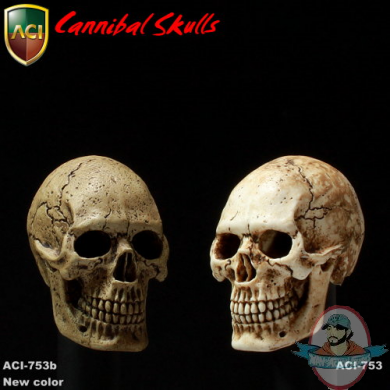 1/6 Scale Cannibal Skull ACI753B Set of 10 for 12 inch Figure ACI Toys