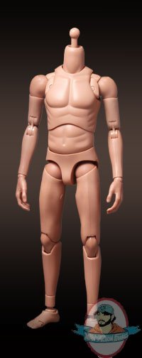 1/6 Scale Truetype Male Body - Slim Body TTM22 by Hot Toys