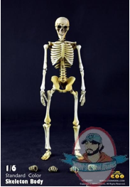 1/6 Skeleton Body Movable BS001 Standard Color Coo Model
