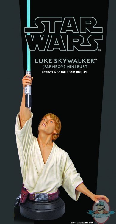 Star Wars Farm Boy Luke Skywalker Mini-Bust Used F