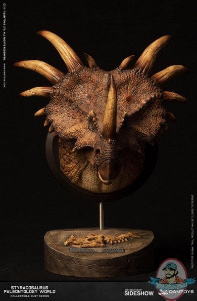 Styracosaurus Brown Bust Museum Collection Series Dam MUS004B