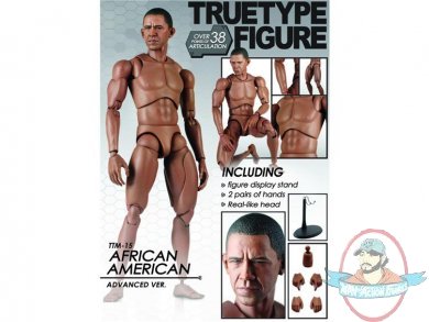 1/6 Scale Truetype Body African American Advanced TTM-15 by Hot Toys