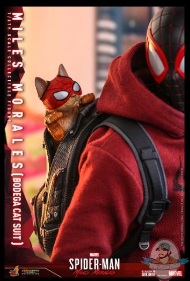 2021_07_07_09_03_32_miles_morales_bodega_cat_suit_sixth_scale_collectible_figure_by_hot_toys_sid.jpg