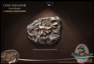 2021_10_06_09_25_00_concavenator_fossil_replica_by_star_ace_toys_sideshow_collectibles.jpg