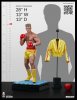 2021_11_23_12_34_52_ivan_drago_siberian_bull_1_3_scale_statue_by_pcs_sideshow_collectibles.jpg
