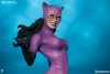 3002632-classic-catwoman-003.jpg