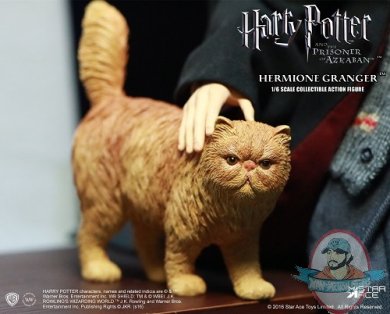 figure - Hermione Granger with Crookshanks 14 cm - Boutique Harry Potter