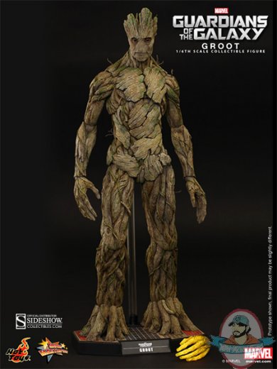 902220-groot-010.jpg