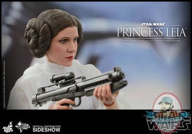 902490-princess-leia-11.jpg