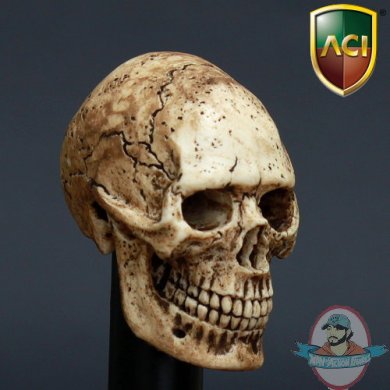 aci-warrior-skull-9.jpg